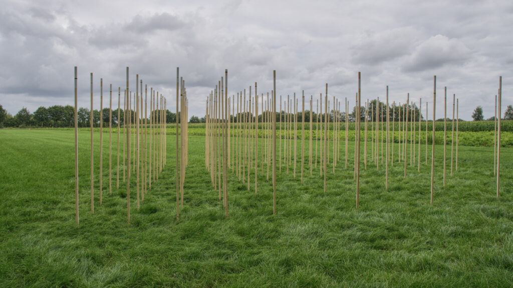 Landschapskunstwerk - Close Encounter